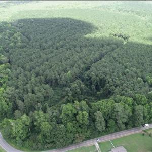 Photo #2 of 6664 Blackwater Road, Virginia Beach, Virginia 9.7 acres