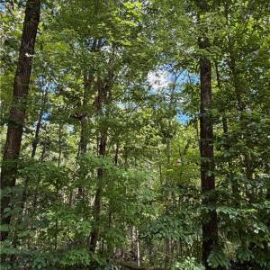 Photo #3 of 6.72Ac Hudson Mill Drive Drive, Lawrenceville, Virginia 6.7 acres