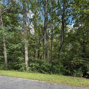 Photo #6 of 6.72Ac Hudson Mill Drive Drive, Lawrenceville, Virginia 6.7 acres