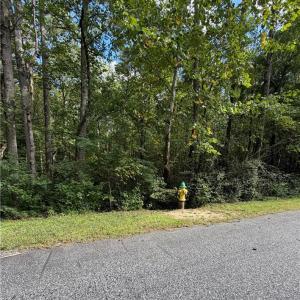 Photo #7 of 6.72Ac Hudson Mill Drive Drive, Lawrenceville, Virginia 6.7 acres