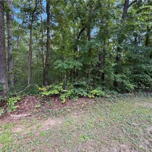 Photo #9 of 6.72Ac Hudson Mill Drive Drive, Lawrenceville, Virginia 6.7 acres