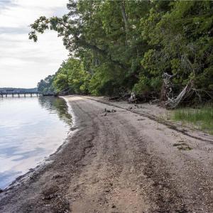 Community Beach