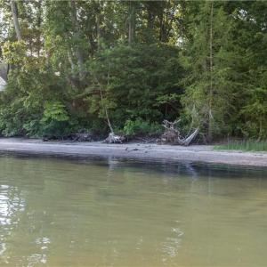 Community Beach Area