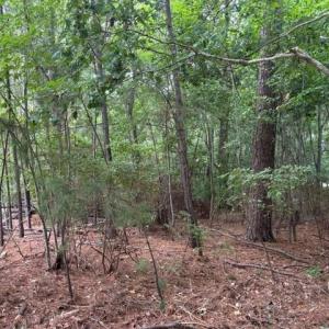 Photo #6 of Lot 5 Boxley (Legal address 229 Menchville) Boulevard, Newport News, Virginia 1.0 acres