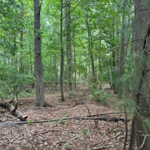 Photo #7 of Lot 5 Boxley (Legal address 229 Menchville) Boulevard, Newport News, Virginia 1.0 acres