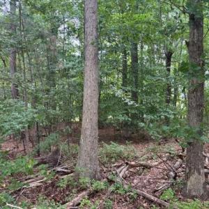 Photo #8 of Lot 5 Boxley (Legal address 229 Menchville) Boulevard, Newport News, Virginia 1.0 acres