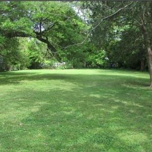 View from back of property looking toward Cornick Rd and front corner of lot with partial neighboring fence line