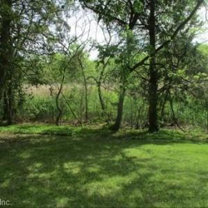 Standing toward back of property
