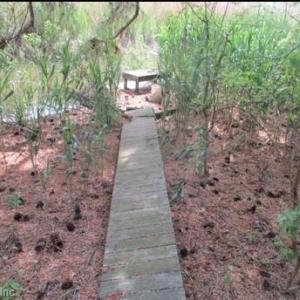 Property allows for fishing on Broad Ck