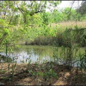 View of Broad Ck provides buffer from surrounding traffic
