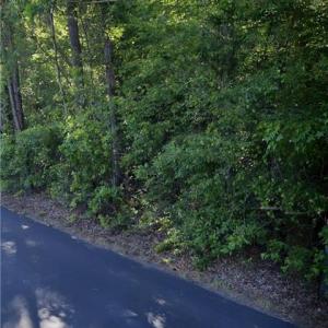Photo #4 of 4664 Backwoods Road, Chesapeake, Virginia 3.8 acres