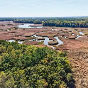 Photo #7 of 1356 Creekway Drive, Smithfield, Virginia 2.5 acres