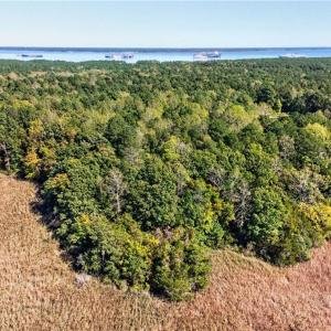 Photo #9 of 1356 Creekway Drive, Smithfield, Virginia 2.5 acres