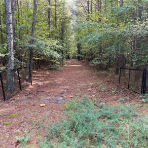Photo #1 of Parcel Dripping Springs Road, Dendron, Virginia 2.5 acres