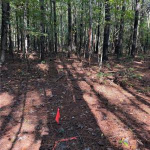 Photo #3 of Parcel Dripping Springs Road, Dendron, Virginia 2.5 acres