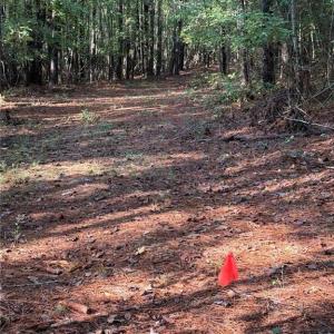 Photo #5 of Parcel Dripping Springs Road, Dendron, Virginia 2.5 acres