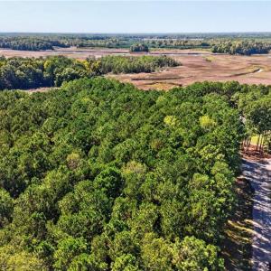 Photo #4 of 14310 Hardys Place, Smithfield, Virginia 3.6 acres