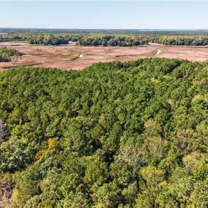Photo #5 of 14310 Hardys Place, Smithfield, Virginia 3.6 acres