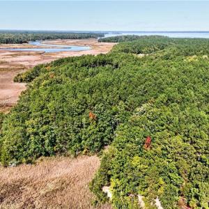 Photo #6 of 14310 Hardys Place, Smithfield, Virginia 3.6 acres