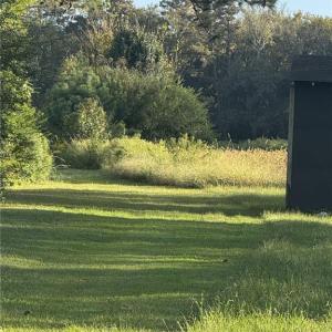 Photo #4 of 7ACRES BACK BAY PUNGO, Virginia Beach, Virginia 7.0 acres