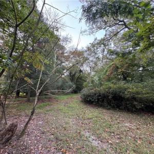 Photo #12 of 2317 Firman Street, Chesapeake, Virginia 2.2 acres