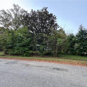 Photo #3 of 2317 Firman Street, Chesapeake, Virginia 2.2 acres