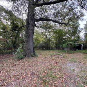 Photo #9 of 2317 Firman Street, Chesapeake, Virginia 2.2 acres