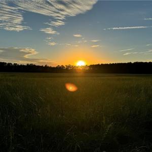 Photo #2 of 42 AC Saint Brides Road, Chesapeake, Virginia 42.0 acres