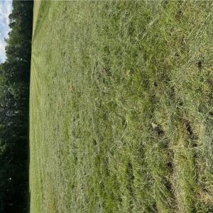 Photo #11 of 42 AC Saint Brides Road, Chesapeake, Virginia 42.0 acres