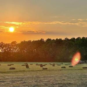 Photo #14 of 42 AC Saint Brides Road, Chesapeake, Virginia 42.0 acres