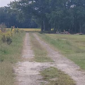 Photo #3 of 42 AC Saint Brides Road, Chesapeake, Virginia 42.0 acres