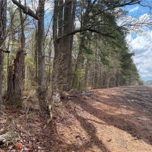 Photo #21 of 42 AC Saint Brides Road, Chesapeake, Virginia 42.0 acres