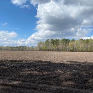 Photo #30 of 42 AC Saint Brides Road, Chesapeake, Virginia 42.0 acres