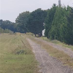 Photo #4 of 42 AC Saint Brides Road, Chesapeake, Virginia 42.0 acres