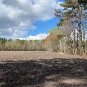 Photo #31 of 42 AC Saint Brides Road, Chesapeake, Virginia 42.0 acres