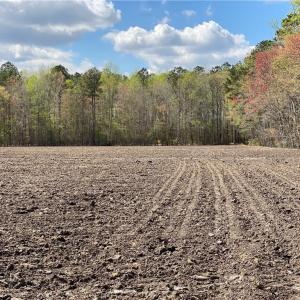 Photo #32 of 42 AC Saint Brides Road, Chesapeake, Virginia 42.0 acres