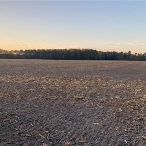 Photo #33 of 42 AC Saint Brides Road, Chesapeake, Virginia 42.0 acres