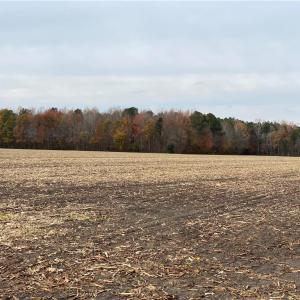 Photo #34 of 42 AC Saint Brides Road, Chesapeake, Virginia 42.0 acres