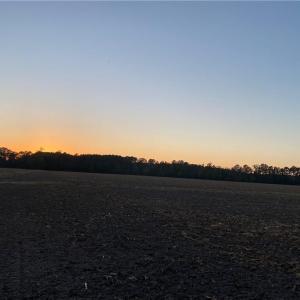 Photo #36 of 42 AC Saint Brides Road, Chesapeake, Virginia 42.0 acres