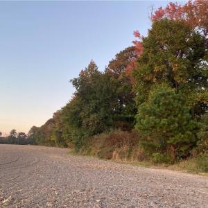 Photo #37 of 42 AC Saint Brides Road, Chesapeake, Virginia 42.0 acres