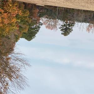 Photo #38 of 42 AC Saint Brides Road, Chesapeake, Virginia 42.0 acres
