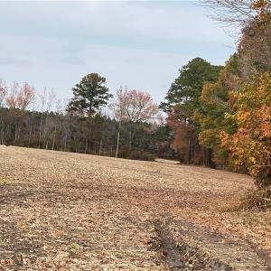 Photo #39 of 42 AC Saint Brides Road, Chesapeake, Virginia 42.0 acres