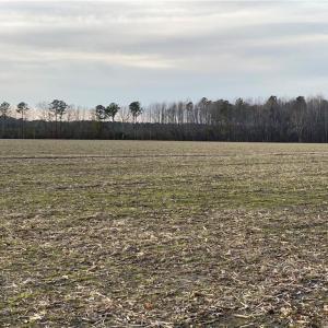 Photo #40 of 42 AC Saint Brides Road, Chesapeake, Virginia 42.0 acres