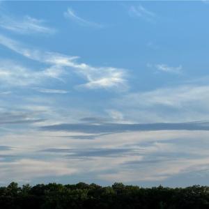 Photo #7 of 42 AC Saint Brides Road, Chesapeake, Virginia 42.0 acres