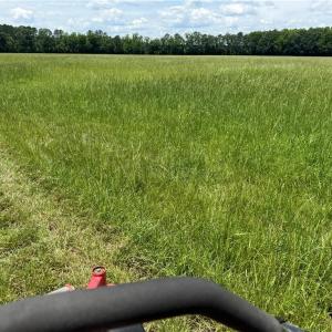 Photo #8 of 42 AC Saint Brides Road, Chesapeake, Virginia 42.0 acres