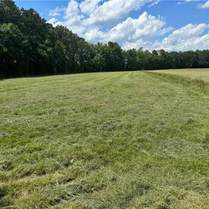 Photo #9 of 42 AC Saint Brides Road, Chesapeake, Virginia 42.0 acres