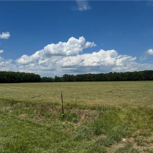 Photo #10 of 42 AC Saint Brides Road, Chesapeake, Virginia 42.0 acres
