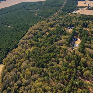 Photo #7 of 22 AC Johnson Lane, Chesapeake, Virginia 22.0 acres