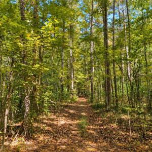 Photo #9 of 22 AC Johnson Lane, Chesapeake, Virginia 22.0 acres
