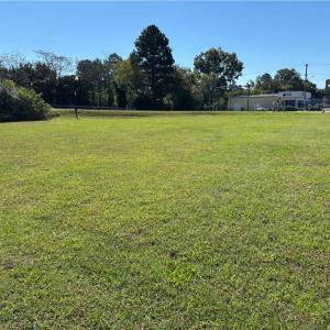 Photo #2 of 252 Carolina Avenue, Suffolk, Virginia 0.4 acres